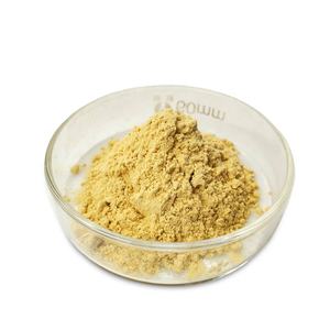 <span class=keywords><strong>Mucuna</strong></span> Pruriensエキスパウダー98% <span class=keywords><strong>Mucuna</strong></span> Pruriens - Product Image 2