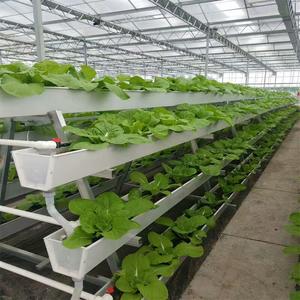 Food Grade PVC NFT Hydroponic Growing System <strong>Large</strong> Size <strong>Planting</strong> <strong>Trough</strong> for Strawberries Tomatoes Cucumbers &amp; More High Output - Product Image 1