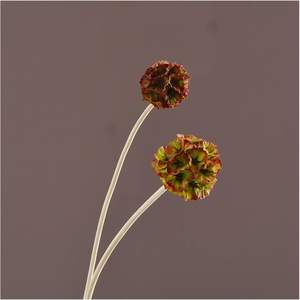 Semillas de Scabiosa de Seda Artificial de Alta Calidad para Decoración del Hogar, Bodas, Fiestas, Accesorios de Fotografía - Product Image 4