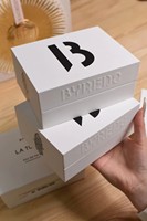 Boîte rigide de qualité supérieure avec couvercle et base, impression dorée à chaud, gaufrage, emballage pour boîte cadeau avec insert en plastique
