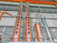 ZJ 50L 200L distillateur d'alcool domestique colonne de reflux en cuivre équipement de distillation encore pour Moonshine