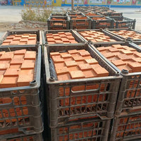 Mosaïque de carreaux en brique rouge texturée, plaquettes de brique rouge artistiques en relief avec support en maille, format carré petit
