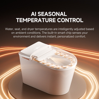 Bidet électronique automatique en céramique sanitaire moderne Wc Toilette intelligente Salle de bain montée au sol Toilette intelligente