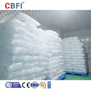 CBFI tanaman es dapat dimakan dengan Filter air dan mesin es batu ruangan dingin tanaman es kubus Filipina komersial