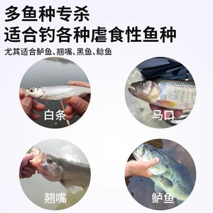 Biomimetic Tadpole Soft Bait 10 Large 10 Small Midwater Lure For Bass Fly Fishing - Product Image 4