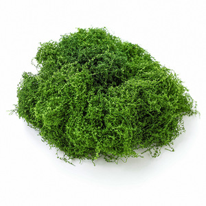 Plante artificielle en mousse filamentuse et moelleuse pour décoration de pot, aspect réaliste et naturel pour la maison, les mariages et les accessoires extérieurs - Product Image 5