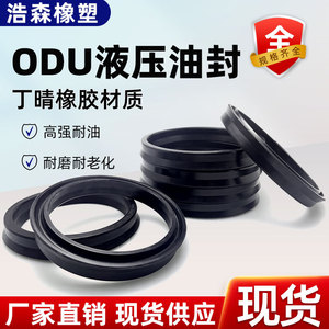 ซีลน้ำมันไฮดรอลิก Kairuite Odu 16-300 มม. ซีลกันสึกสำหรับกระบอกสูบรถยนต์ - Product Image 5