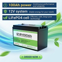 Batterie au lithium rechargeable LiFePO4 LongKun 12V 12.8V 100Ah à décharge profonde pour camping-car, solaire, marine, moteur de pêche à la traîne, stockage d'énergie, OEM