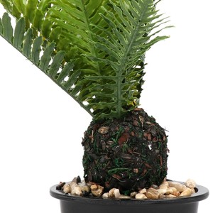 Verde Artificial hoja de <span class=keywords><strong>palma</strong></span> plantas de plástico jardín hogar decoraciones Scutellaria Tropical árbol plantas falsas - Product Image 3