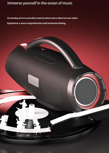 <span class=keywords><strong>2025</strong></span> nóng bán ngoài trời không thấm nước cho BT loa với RGB LED chiếu sáng kép Microphone - Product Image 6