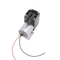 Mini pompe à eau sans balais 0,7L/min 200Kpa 20Kpa 6V-24V auto-amorçante OEM
