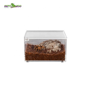 Terrario Acrílico Pequeño REPTIZOO de 10.5x8.5x6.5cm, Recinto para Invertebrados como Arañas Saltadoras, Tarántulas, Mantis y Isópodos - Product Image 3