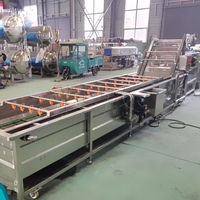 3 T/h Bubble Fruit Wasmachine Sortering Lijn Oranje Wasdroger Schoonmaken En Sorteren Appelreiniger Drogen Waxen Mango Wasmachine