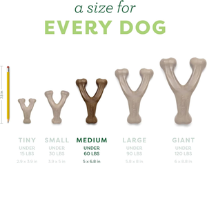 Jouet à mâcher durable pour chien, saveur bacon, poulet, bœuf, cacahuète, bois, en plastique de qualité alimentaire, pour mâcheurs agressifs, jouet en nylon en forme d'os - Product Image 5