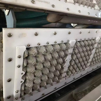 Machine de fabrication de moules pour barquettes/cartons à œufs en pâte à papier recyclé Zengtuo, pompe PLC 220/380V, modèle 3x4, qualité aluminium/cuivre/plastique