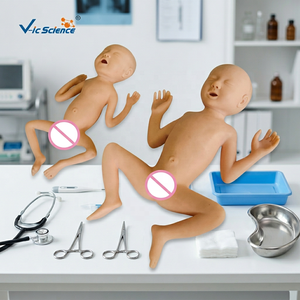 Maniquí de PVC de Bebé <span class=keywords><strong>Prematuro</strong></span> de 30 Semanas, Modelo Realista para Entrenamiento de Enfermería, Ciencias Médicas - Product Image 3