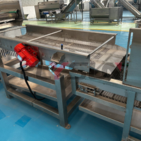 Automatische transportband friteuse voor diepvriesfrieten & aardappelchips