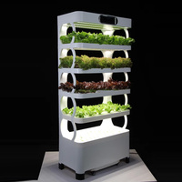 Jardin d'herbes intelligent pour la maison, système de culture hydroponique vertical, aquaponie, aéroponie, micro-légumes intelligents