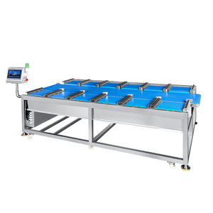 BIBO - Comprobador de Peso Lineal Personalizado de 12 Cabezas para Inspección de Peso de Naranjas y Ajos en Caja - Product Image 3