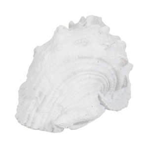 Scultura in resina a forma di conchiglia, decorazione costiera per casa, ufficio, bagno, tavolino da caffè, stile nautico - Product Image 3