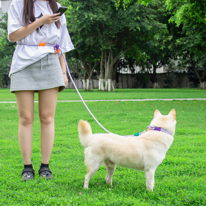 Hand-woven adjustable figure-eight double-loop <b>dog</b> <b>leash</b>, anti-escape <b>leash</b> for <b>dogs</b> and cats, chest harness - Product Image 1