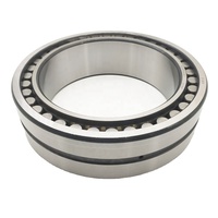 Roulement à rouleaux cylindriques à double rangée ultra-précis en plastique NN3006 NN3007 NN3008 NN3014 NN3017 NN3018 NN3020-D-K