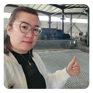 1x1x1 panier gabion boîtes de cage gabion galvanisé rouleau de treillis métallique gabion pour tenir la rive de la mer - Product Image 2