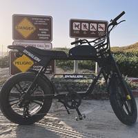 Grosir Sepeda Motor Listrik Retro Kustom, Pabrik Hybrid E-bike 48v Siap Kirim, Produsen Sepeda Motor Listrik Dengan Pedal