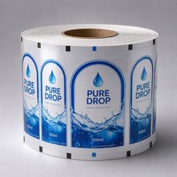 Film en rouleau PE LDPE anti-poussière pour emballage liquide, sachet transparent de qualité alimentaire avec logo personnalisé pour boissons, jus et sodas