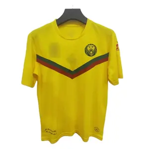 Africa national soccer jersey thai quality soccer jersey 21-22 Cameroon away jersey