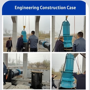 Zqb công suất cao 75Kw chìm dòng chảy hướng trục bơm đường kính lớn Dọc Dòng chảy bơm cho lũ kiểm soát hỗn hợp dòng chảy bơm - Product Image 2