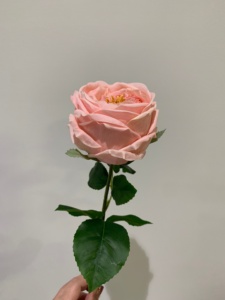 Rosas Artificiales Austin de Tacto Real en Oferta, <span class=keywords><strong>Flores</strong></span> Rosadas para Decoración del Hogar, Fiestas, Bodas, San Valentín - Product Image 2