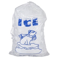 Sac à glace en plastique transparent personnalisé de qualité alimentaire 8 lb 10 lb 20 lb réutilisable en PP avec cordon de serrage pour l'emballage au congélateur