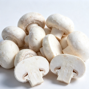 Tranches de champignons surgelées IQF, pré-nettoyées, pour mélange de viande de burger, certifiées IFS, vente en gros - Product Image 4