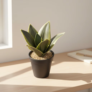 Planta Artificial de <span class=keywords><strong>Sansevieria</strong></span> Trifasciata en Maceta Negra, Planta Serpiente Artificial Variegada para Decoración del Hogar, Oficina, Mesa, Estante - Product Image 1