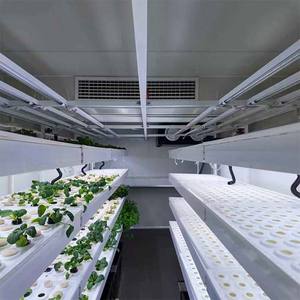 40HQ Congelador Contenedor de envío Granja Hidropónica Verde Gr Crecimiento eficiente Planta Contenedor Fábrica Sistema de control totalmente automatizado - Product Image 2
