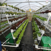 Grande tour hydroponique de jardin NFT, tuyau en Pvc avec pompe à eau pour les légumes et les fruits, livraison gratuite