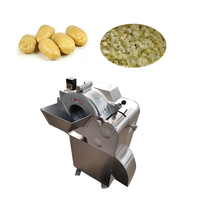 HAVERY Commerciële RVS Multifunctionele Fruit- en Groentesnijder Machine voor Restaurantgebruik Appel Wortel Blokjes Snijder