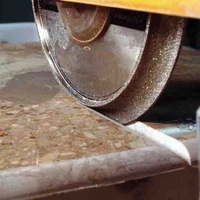 Meule CBN concave de 200mm pour carreaux de porcelaine céramique de granit de marbre profilage de rabat de verre pour les tâches de meulage de rainurage