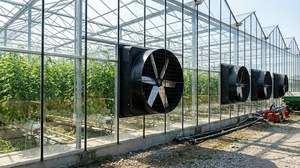 Ventilateur d'extraction en fibre de verre haute puissance 72 pouces 380-480V 2200W avec moteur CC sans balais, protection IP55, débit d'air 70500 CFM pour ferme laitière et aviculture - Product Image 3