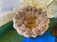 Meubles de salon chaise design personnalité créative Art poupée extraterrestre poupée animale paresseux polaire en peluche ours en peluche canapé chaise