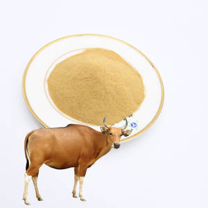 בירה מרכיבים תזונה פרה לקדם סלניום משק חי חיות מחמד סיבים טעם מזון בירה שמרים אבקה להאכיל בעלי חיים - Product Image 5