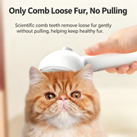 Peigne de toilettage électrique portatif pour animaux de compagnie, pour la perte de poils, massage auto-nettoyant, rechargeable Type-C, sans eau