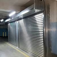 Puerta Enrollable de Acero Galvanizado Ignífuga |   Puerta Industrial Antirrobo, Apta para Almacenes y Garajes de Fábrica