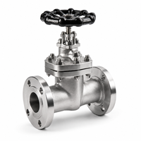 Válvula de Compuerta J41H CF8 Clase 300 de Acero Inoxidable 304 con Brida para Tuberías Industriales, Válvula de Control de Flujo con Sello de PTFE Virgen