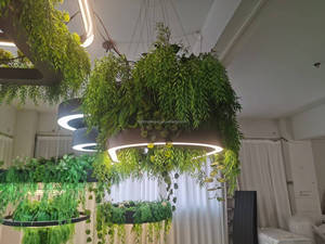 Jardinière suspendue avec lumière LED, boîte en <span class=keywords><strong>bois</strong></span> pour plantes, luminaire de culture pour la décoration de la maison et des cafés - Product Image 6