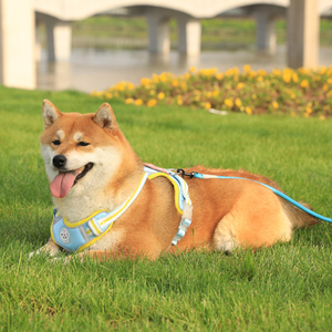 สายรัดและสายจูงสุนัขเสื้อกั๊กสัตว์เลี้ยงโลโก้ออกแบบได้ตามต้องการ - Product Image 5