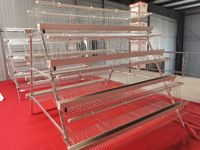 Nouvelle conception de poulailler moderne, système d'élevage en cage à batterie pour poules pondeuses, économie d'énergie, fil d'acier, 2 ans