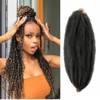 Extensions de cheveux synthétiques de haute qualité 22 pouces 3x Fluffy Water Kink Style bouclé doux Afro Kinky Twist Braid Haute température