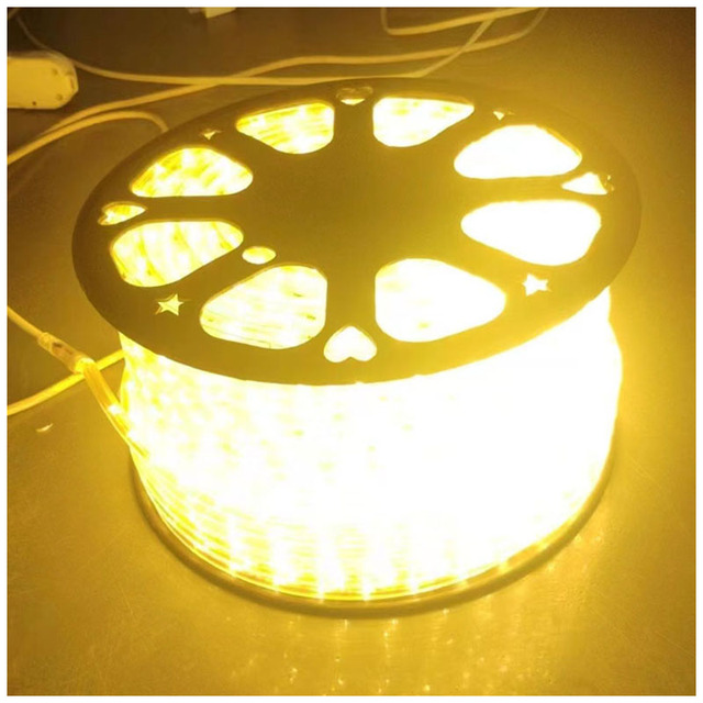 24V Commercial LED Rope Lights RGB Warm White 36LED/m Color Coated Golden 50M/ROLL Landscape Lighting